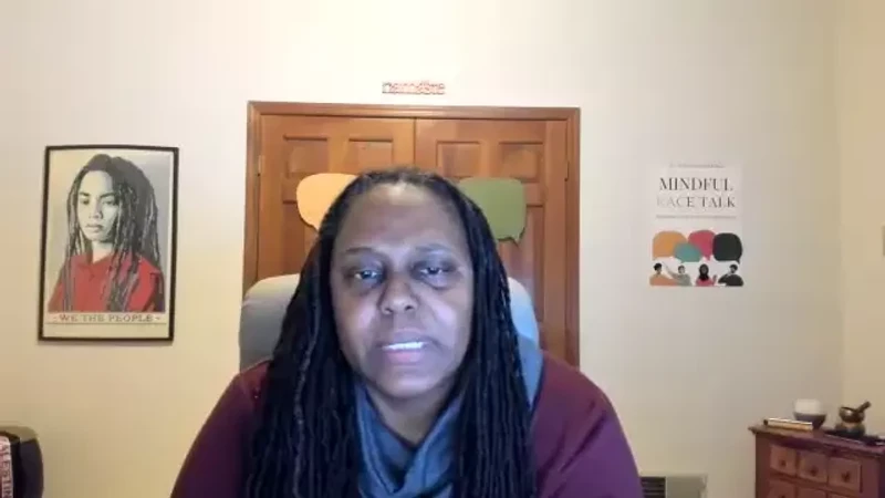 YouTube_Nov 20 2024_Impact matters reflections on backlash and path forward.mp4 _#24
